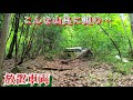 【草ヒロ】山奥の旧道に眠る放置車両…奥にはなんと…!