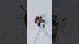 The WORLDS Highest Ski Jump🌎🥇 #trending #extreme #worldrecord