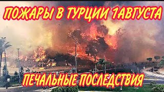 ПОЖАРЫ В ТУРЦИИ.СИТУАЦИЯ НА 1 АВГУСТА.ПЕЧАЛЬНЫЕ ПОСЛЕДСТВИЯ.НОВЫЕ ЖЕРТВЫ.ПОМОЩЬ ПОСТРАДАВШИМ