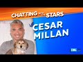 Cesar Millan on Introducing a Dog to a Newborn, Setting Boundaries, and 'Better Human Better Dog'