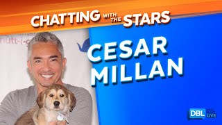 Cesar Millan on Introducing a Dog to a Newborn, Setting Boundaries, and 'Better Human Better Dog'