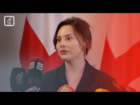 მდინარაძისა და სტუდენტების შეხვედრა — არა რუსულ კანონს!