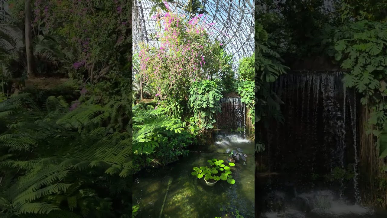 Ботанический сад в Токио