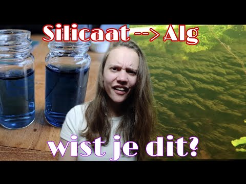 Video: Waar worden silicaten voor gebruikt?