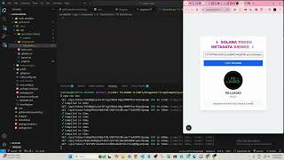 🚀 Introducing the Solana Token Metadata Viewer.