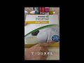 デッシュタオルの吸水性が凄い！#shorts