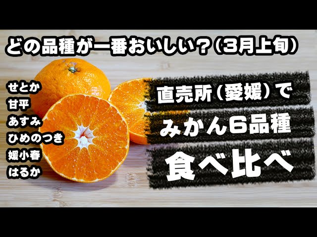 みかんページ 丸松 旬搾りみかんジュース 700ml – 成城石井.com