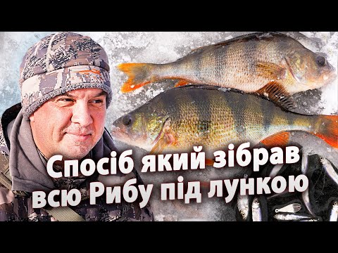 ЛОВЛЯ ОКУНЯ УНКАЛЬНИМ СПОСОБОМ