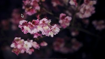 How to add QuickLook support for text based files on macOS