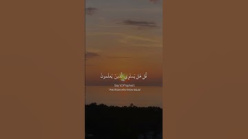 أَمَّن هُوَ قانِتٌ آناءَ اللَّيلِ ساجِدًا وَقائِمًا | الزمر: ٩ | القارئ: ياسر الدوسري