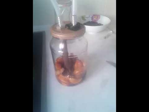 без каких либо особенных затрат создан этот самогонный апарат - YouTube