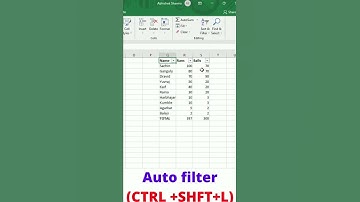 Auto filter in Excel