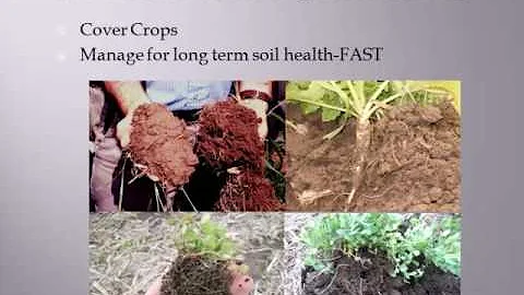 Rodney Rulon; Jim Hoorman - Soil Health And Cover Crop Economics