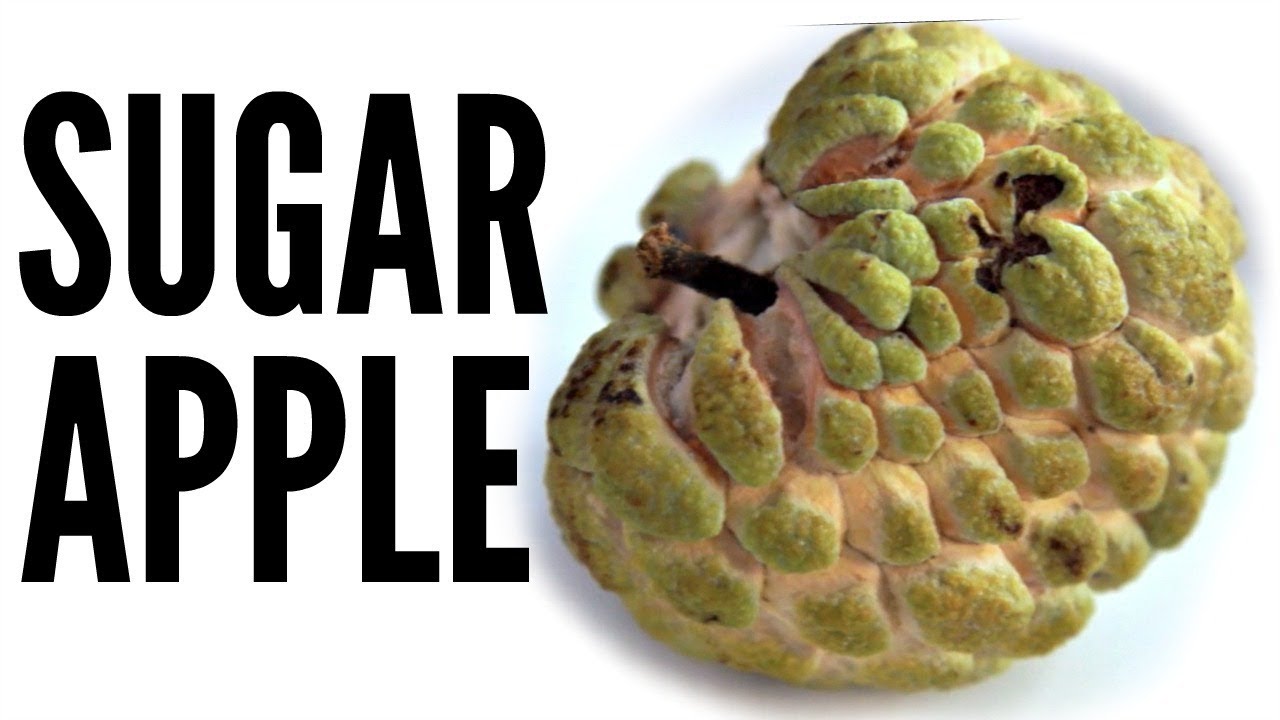 SUGAR APPLE Sweetsop Taste Test | Fruity Fruits | emmymade