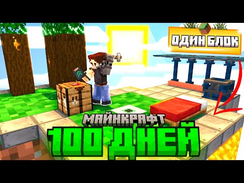 Я прожил 100 ДНЕЙ на ОДНОМ БЛОКЕ с 1000 модов. Беброк. #12