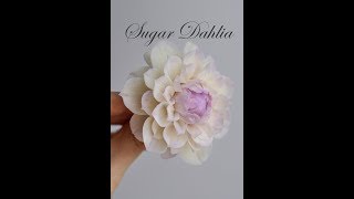 Gumpaste Dahlia Flower Tutorial. Георгин из мастики . Цветы из мастики своими руками.