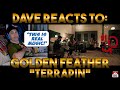 Dave&#39;s Reaction: Golden Feather — Terrapin