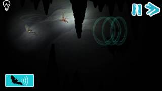 SONAR - Bumblebee Bat - SmartyPal Unity C#