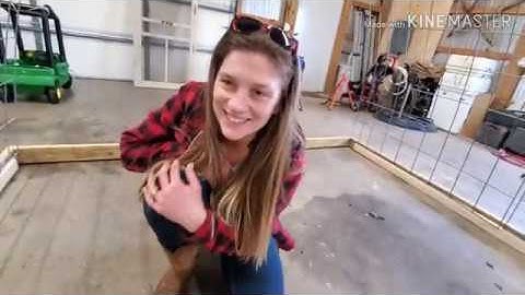 Broiler chicken tractor build-Part 1