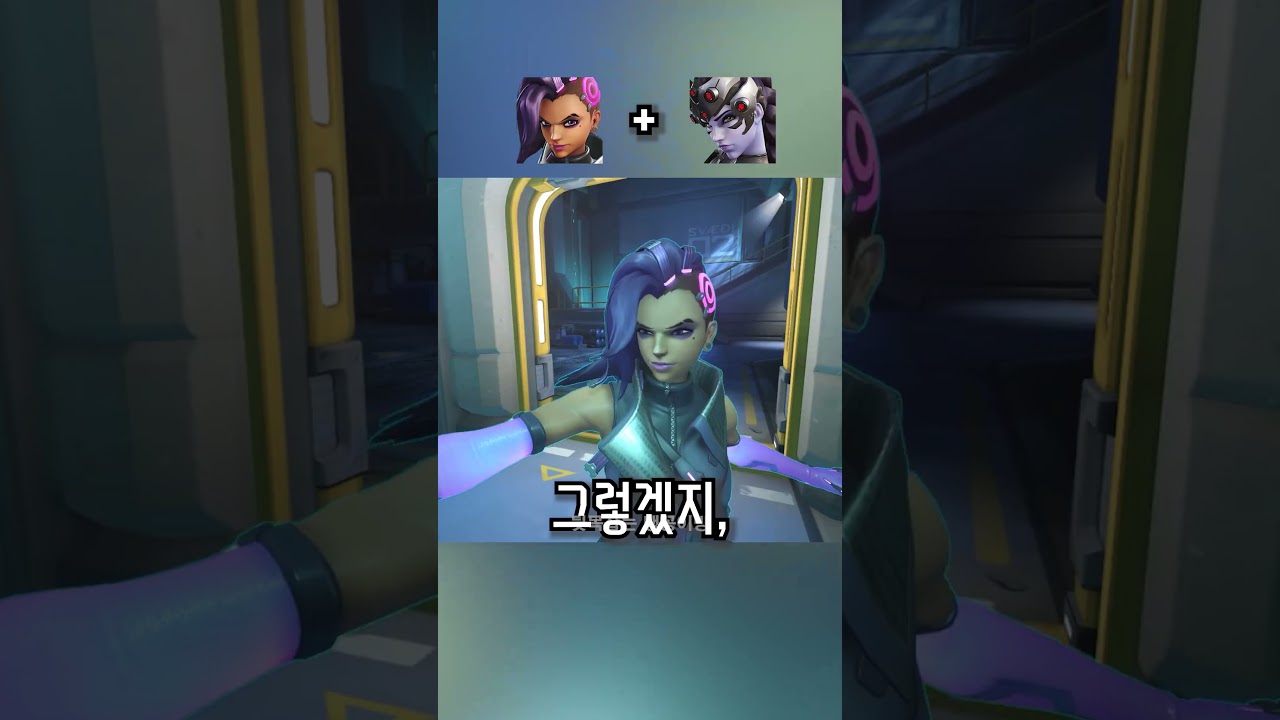 오버워치 영웅들의 황당한 대화 Part 163