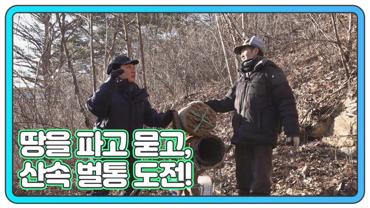 할배가 두었던 그 자리에 다시 벌통을 두다 MBN 260218 방송