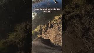 Convincing sure is hard #viral #baitcaster #bass #bigfish #fish #fishing #bagleybaits #lure #bait