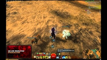 Ranger Dungeon Build Q & A