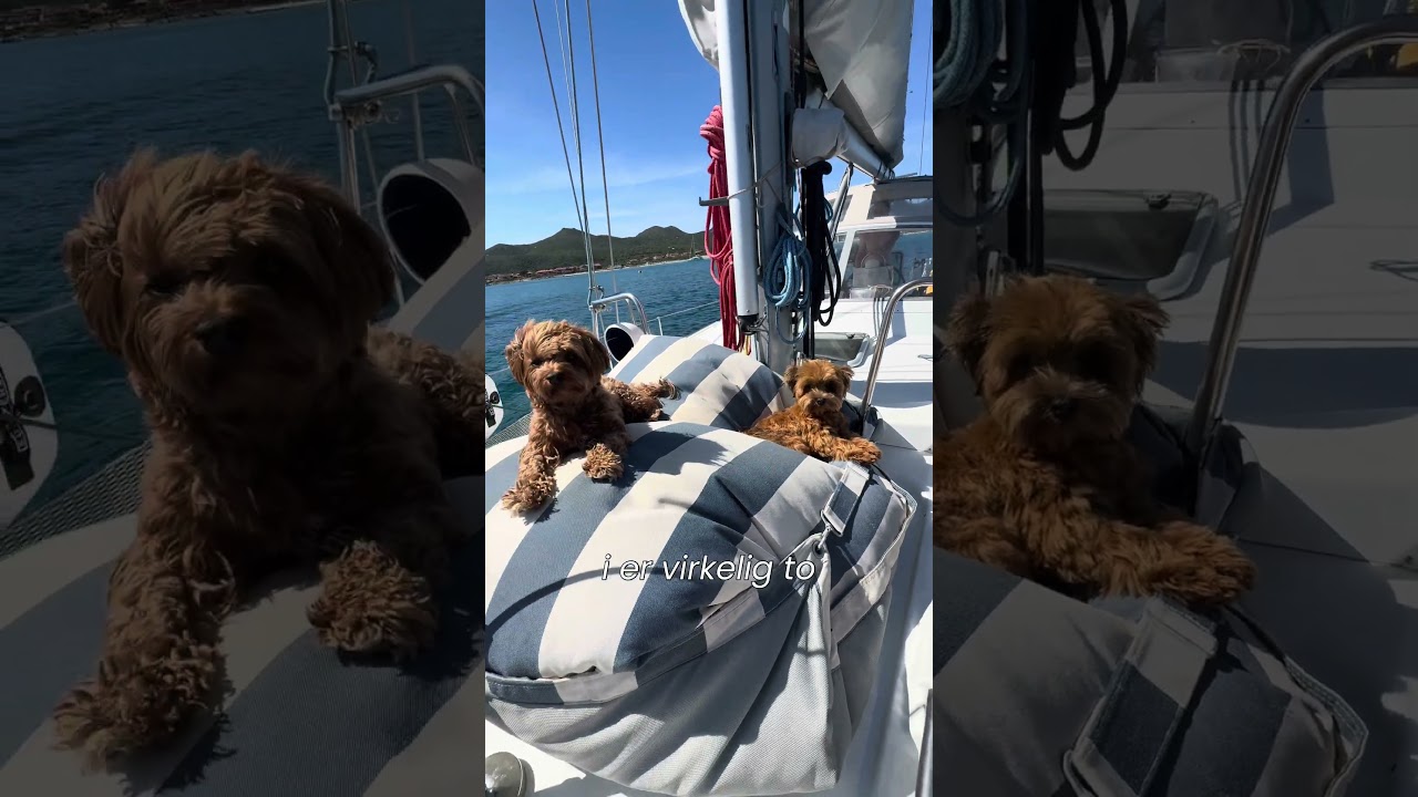 ⁣Sejl med os til Porto San Paolo ⛵️ #eventyr #sejlads #circumnavigation