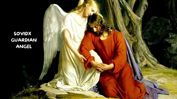 Sovidx - Guardian Angel ( Techno Acid Song )
