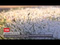 Погода в Україні: арктична холоднеча - наступної ночі синоптики прогнозують до мінус 12