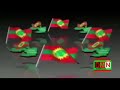 Waamicha Qeerroo Oromoo Maraaf Tinnisa WBO Jaarmiya Danbalii Humna Qeerroo Biyya Alaa Jiran Maraaf 