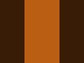Alloy Orange Screen Background Video | Multipurpose Backdrop for Editing & Reels | No Audio