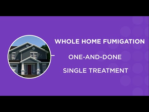 How to Eliminate Bed Bugs With Fumigation