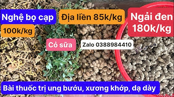 Nghệ bọ cạp, ngải đen, củ thiền liền (địa liền), cây cỏ sữa lá lớn: trị xương khớp, ung bướu, dạ dày