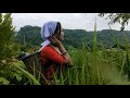 Hillo milebo jumot jaide       chakma song  by alpana chakma