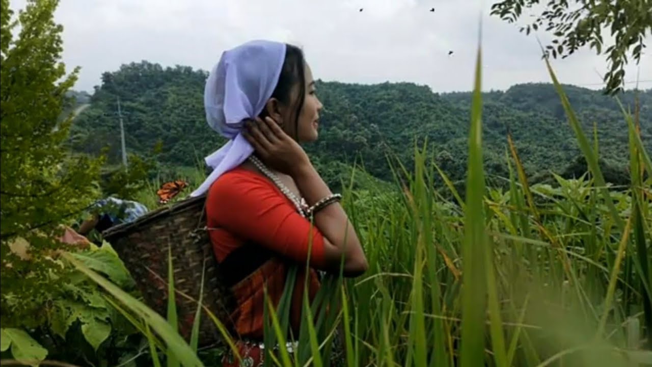 Hillo milebo jumot jaide       Chakma Song  By Alpana Chakma