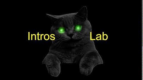 Black Cat green eyes Thanks for the bits Sample