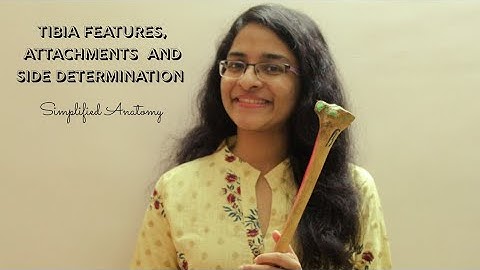 TIBIA | BONES OF LOWER LIMB | ANATOMY | SIMPLIFIED ✔