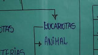 Ciencias naturales sexto, mapa conceptual