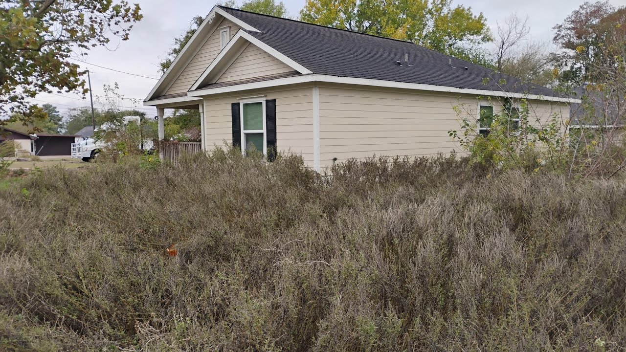 Homeowner PASSED, leaving this YARD UNTOUCHED for over a YEAR