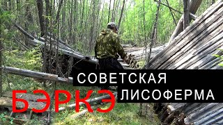 ЗАБРОШЕННАЯ СОВЕТСКАЯ ЛИСОФЕРМА В ЯКУТИИ.