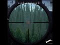 Way Of The Hunter- Sitka Deer ( M-1 Star ) 350 Yard One Hit Double Lung-Remington 700 CDL .30-06