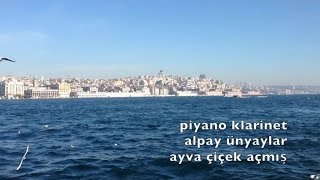 Alpay Ünyaylar - Ayva Çiçek Açmış