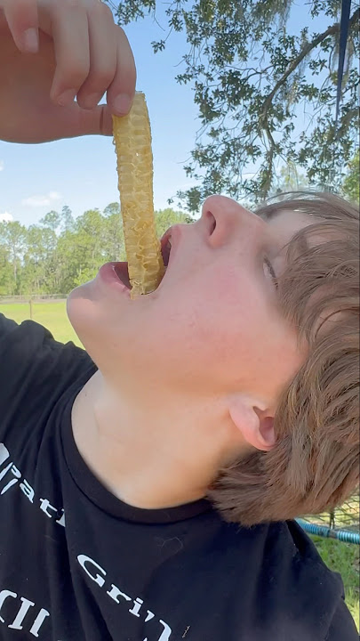 Happy World Bee Day! Let’s see if teenagers like honeycomb.
