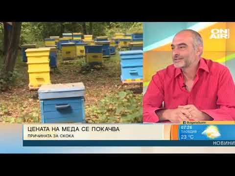 Цената на меда скача: Какви са причините за това и какво ни очаква, ако пчелите изчезнат?