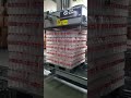 Gantry palletizer2