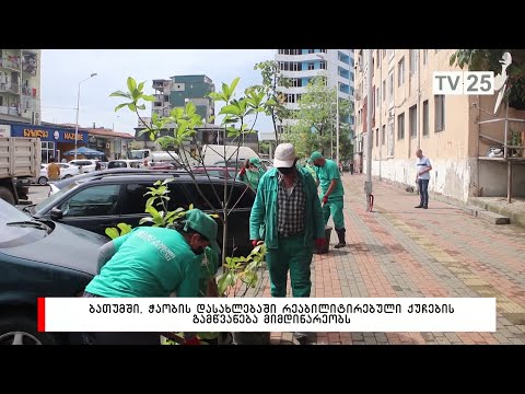 ბათუმში, ჭაობის დასახლებაში რეაბილიტირებული ქუჩების გამწვანება მიმდინარეობს