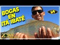 Pesca en Reconquista. Pesca en Itá Ibaté. Travesía por el río Paraná. Pesca en Esquina.