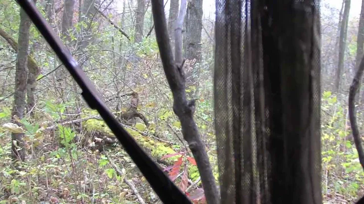 Michigan Hunting 11.7.11-Ground Blind Buck