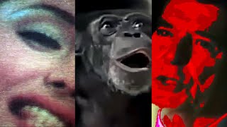 Sarin - Bestial Nature Official Video